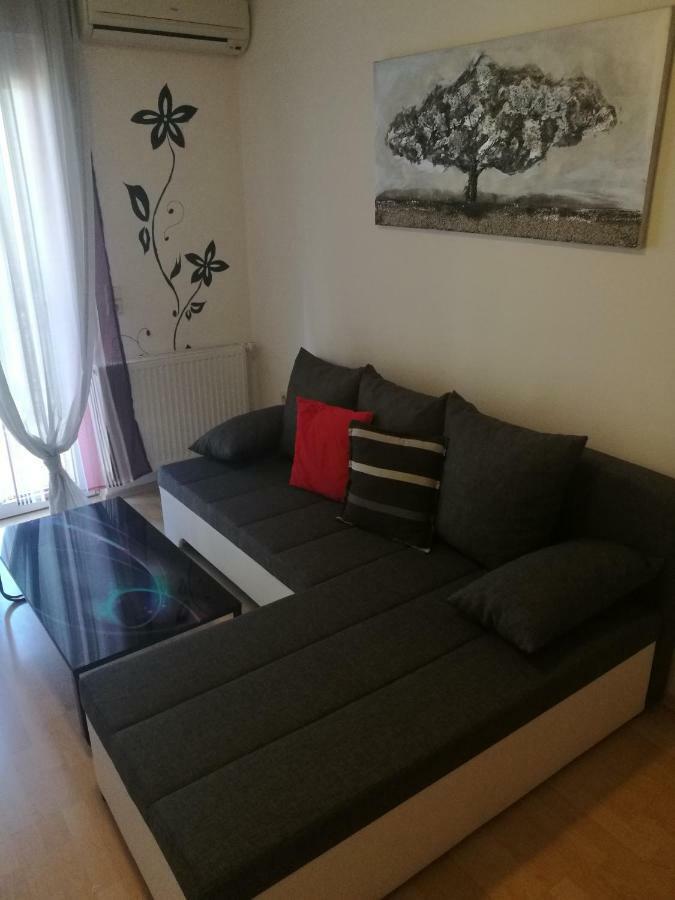 Apartments Ivi Vir Dış mekan fotoğraf